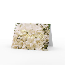 White Stephanotis Floral Thank You Notes cards by Dmargie1029 White Stephanotis Floral Thank You Notes cards
