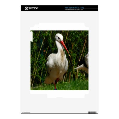 White Stork iPad 2 Decal