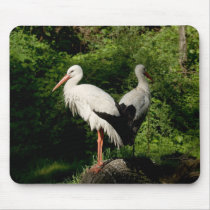 White Stork Mousepad by SabineSt White Stork Mousepad