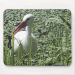 White Stork Mousepad