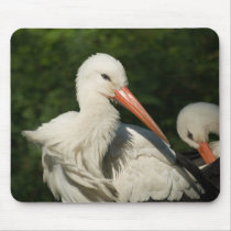 White Stork Mousepad by SabineSt White Stork Mousepad