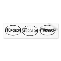 White Sturgeon Euro Stickers Bumper Sticker