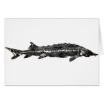 White Sturgeon Gyotaku-40-Item Card