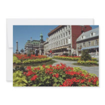 White Summer blooms, Montreal flowers Invites