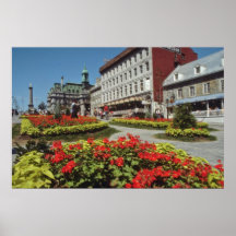White Summer blooms, Montreal flowers Posters