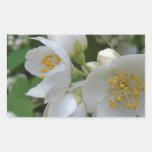 white summer flowers give reminiscent of the p rectangular sticker