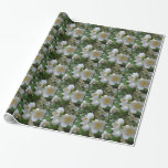 white summer flowers give reminiscent of the p wrapping paper