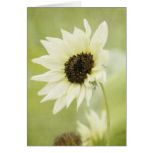 White Sunflower note card