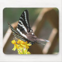 White Swallowtail mousepads