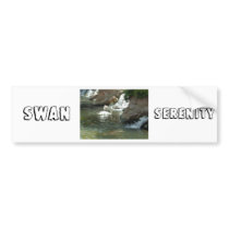 White Swan bumper stickers by Incatneato White Swan bumper stickers
