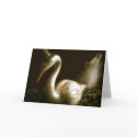 White Swan • Christmas Greeting Card