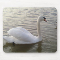 White Swan Close Up Picture Mouse Mat