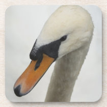 White Swan Drink Coasters