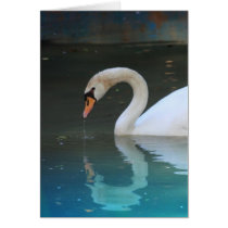 White Swan Gliding cards