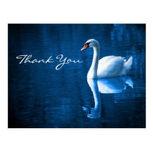 White Swan on Blue Waters Thank You Postcard