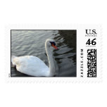White Swan Postage Stamp
