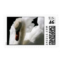 White Swan Postage Stamp by kdpurdy White Swan Postage Stamp