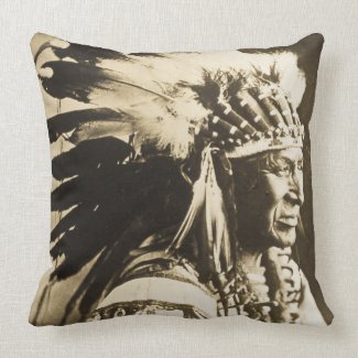 White Swan Sioux Chief Vintage Pillows