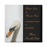 White Swan Wedding Save The Date magnets