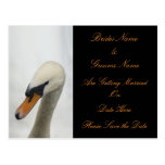White Swan Wedding Save The Date postcards