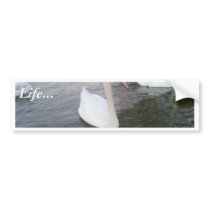 White Swans bumper stickers by lifesphere White Swans bumper stickers