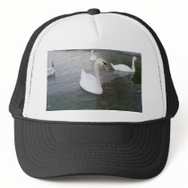 White Swans hats by lifesphere White Swans hats