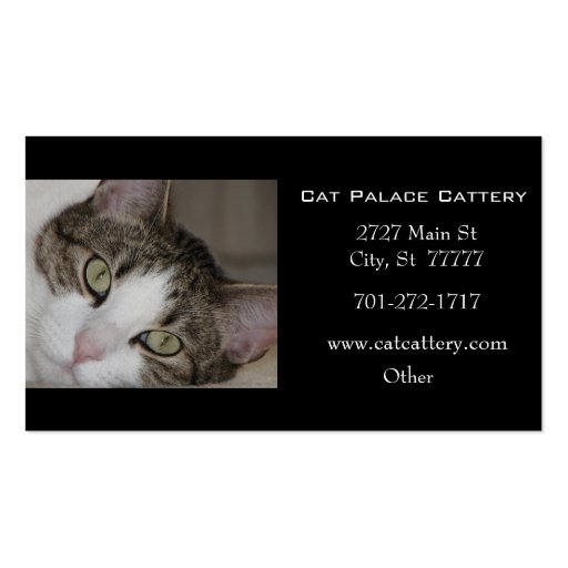 White Tabby Cat Business Card (front side)