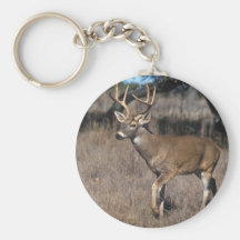 White Tail Deer Keychains