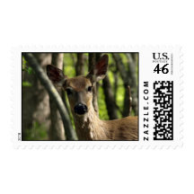 White Tail Deer (S1) Postage