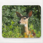 White-Tail Doe Mouse Pad