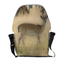 'White-tail Grazing' Courier Bag