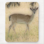 'White-tail Grazing' mousepad