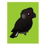 White-tailed Black Cockatoo Postcard