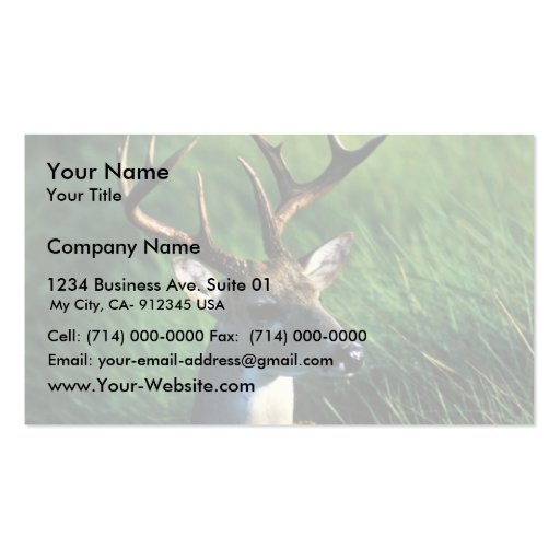 White-tailed Buck Business Cards