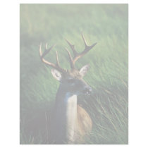 White-tailed Buck Custom Letterhead