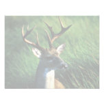 White-tailed Buck Personalized Invite