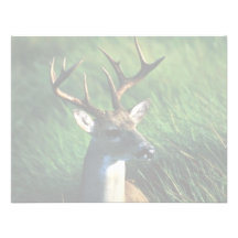 White-tailed Buck Personalized Invite