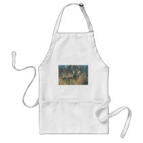 White-tailed Deer Aprons