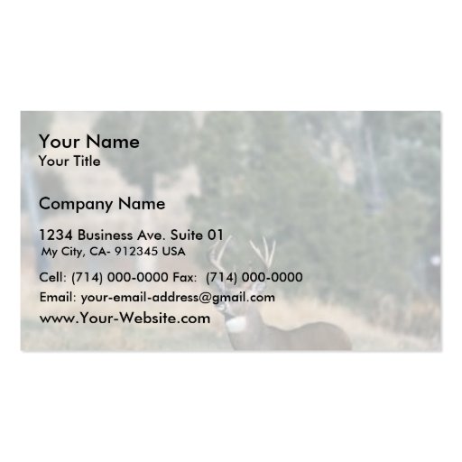 White-tailed deer buck business card (front side)