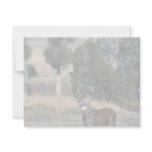 White-tailed deer buck invitation