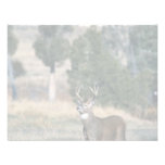 White-tailed deer buck invitation