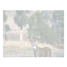 White-tailed deer buck invitation
