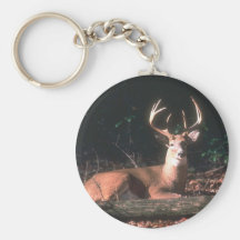 White Tailed Deer  Buck Key Chain