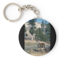 White-tailed deer buck key chains