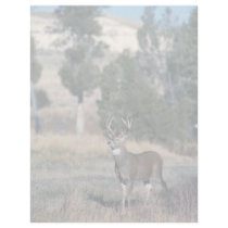 White-tailed deer buck customized letterhead