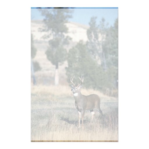 White-tailed deer buck personalized stationery