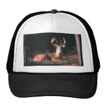 White Tailed Deer Buck Photo Hat