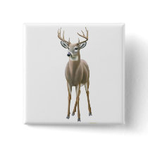 White Tailed Deer Buck Pin buttons by twopurringcats White Tailed Deer Buck Pin buttons
