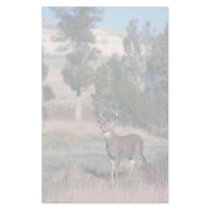 White-tailed deer buck personalized stationery