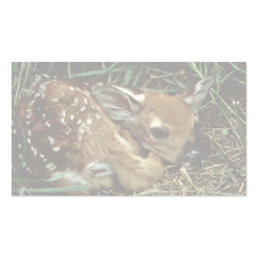 White-tailed Deer Business Card Templates (back side)